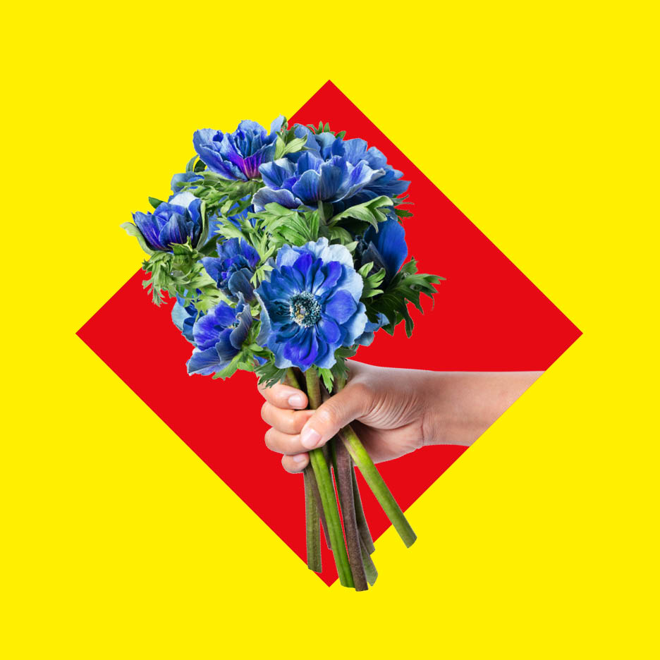 Un buchet de flori albastre ținut de o mână, pe un fundal roșu și galben.